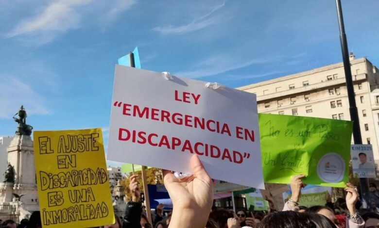Gobierno apeló al fallo que ordena aplicar la Ley de Emergencia en Discapacidad