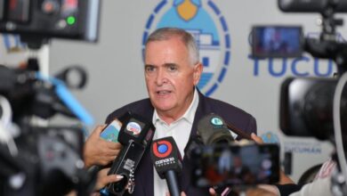 Jaldo aseguró reforzar la lucha contra el narcotráfico tras secuestro de marihuana en Tucumán