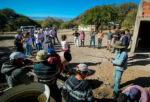 Vecinos del Valle Calchaquí denuncian pérdidas económicas tras un prolongado corte de energía
