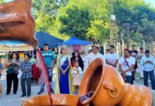 Más de 3.600 personas participaron de la Fiesta de la Vendimia en Animaná