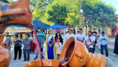 Más de 3.600 personas participaron de la Fiesta de la Vendimia en Animaná