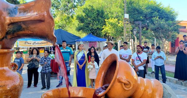 Más de 3.600 personas participaron de la Fiesta de la Vendimia en Animaná