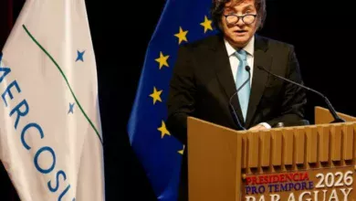 Milei envió a la Camara de Diputados el texto del tratado comercial birregional Mercosur