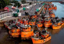 Gremios navales de Chubut rechazaron el aumento del canon al langostino