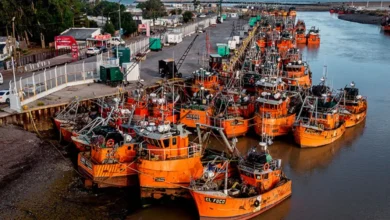 Gremios navales de Chubut rechazaron el aumento del canon al langostino
