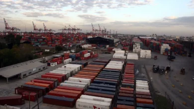 Diputados opositores solicitaron informes sobre beneficios fiscales otorgados a empresas de capitales chinos