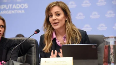 Flavia Royon defendió los cambios en la Ley de Glaciares para definir áreas de protección y minera