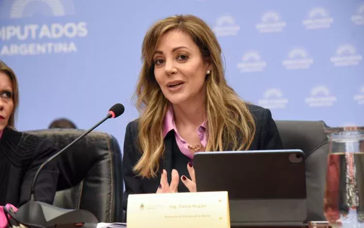 Flavia Royon defendió los cambios en la Ley de Glaciares para definir áreas de protección y minera
