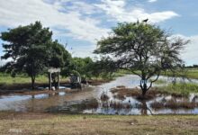 Preocupación en el departamento de Anta por inundaciones ante la edición de Expoagro