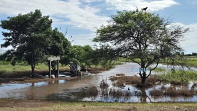 Preocupación en el departamento de Anta por inundaciones ante la edición de Expoagro