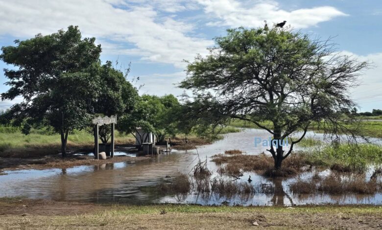 Preocupación en el departamento de Anta por inundaciones ante la edición de Expoagro