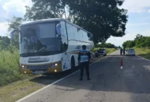 Detuvieron a un chofer de colectivo alcoholizado que intentó coimear al policía en la RN 50