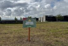 San Lorenzo multó a más de 30 dueños de terrenos baldíos en mal estado