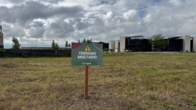 San Lorenzo multó a más de 30 dueños de terrenos baldíos en mal estado