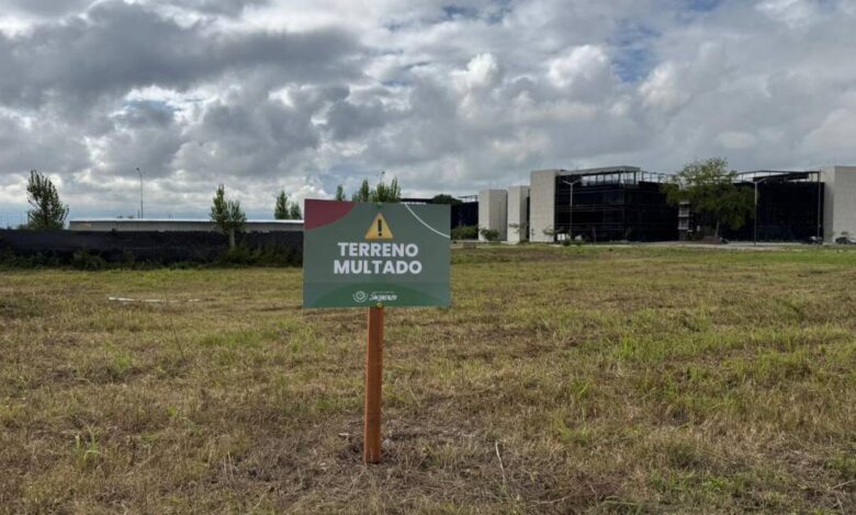 San Lorenzo multó a más de 30 dueños de terrenos baldíos en mal estado