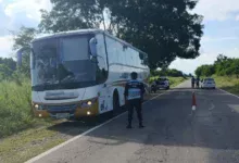 Detuvieron a un chofer de colectivo alcoholizado que intentó coimear al policía en la RN 50