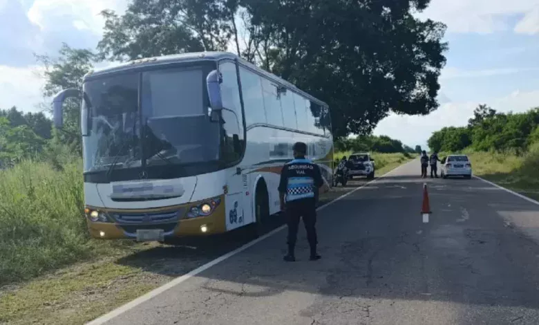 Detuvieron a un chofer de colectivo alcoholizado que intentó coimear al policía en la RN 50