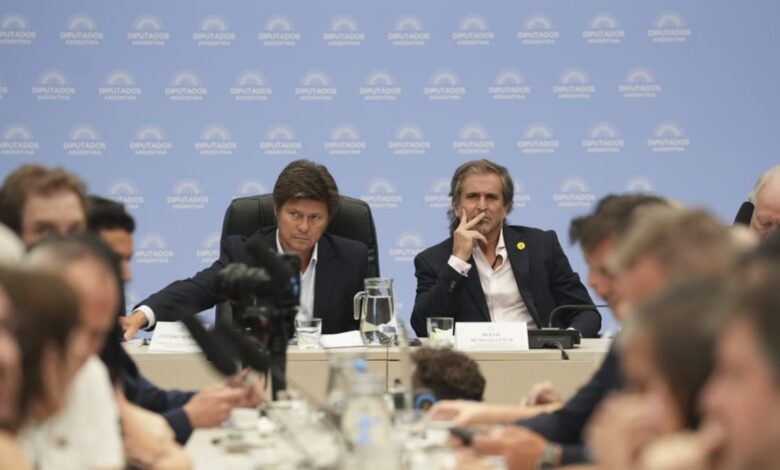 La Libertad Avanza obtuvo la presidencia del 50% de la comisión de Diputados Nacional