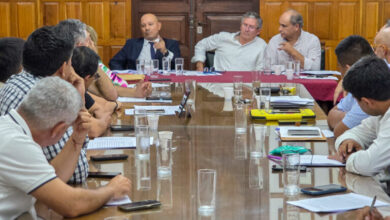 El Ente presentó ante diputados un proyecto de ley que busca ordenar el sistema energético