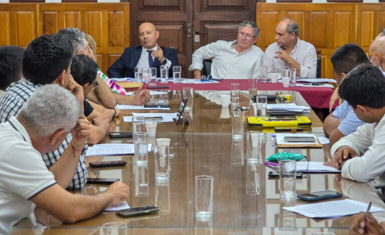 El Ente presentó ante diputados un proyecto de ley que busca ordenar el sistema energético