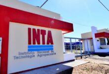 Se activó un plan de retiros voluntarios en el INTA para reducir la planta de personal