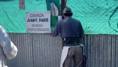 Senadora denuncia falta de ejecución en la clausura de la "Granja París" pese a riesgos sanitarios