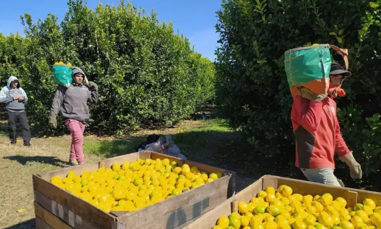 Trabajadores del Limón protestan ante la falta de avances en negociaciones salariales