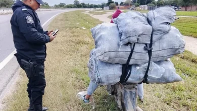 Detuvieron a un hombre por sustraer de manera ilegal productos cítricos de una finca en Orán