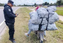 Detuvieron a un hombre por sustraer de manera ilegal productos cítricos de una finca en Orán
