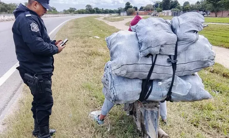 Detuvieron a un hombre por sustraer de manera ilegal productos cítricos de una finca en Orán