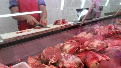 Feria de carne
