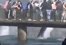 Un turista se tiró al agua en las Cataratas del Iguazú para recuperar su celular