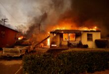 La investigación en Pacific Palisades siguió anuncios en internet y llamados telefónicos con ofertas para construir, demoler y nivelar terrenos tras el incendio
