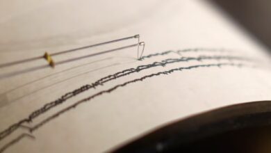Un terremoto de magnitud 7,1 golpeó el suroeste de Japón: las autoridades levantaron la alerta de tsunami- Foto de infobae