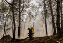 Bomberos trabajan para extinguir un incendio en el bosque de Fontainebleau, en Noisy-sur-Ecole (Francia)