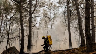 Bomberos trabajan para extinguir un incendio en el bosque de Fontainebleau, en Noisy-sur-Ecole (Francia)