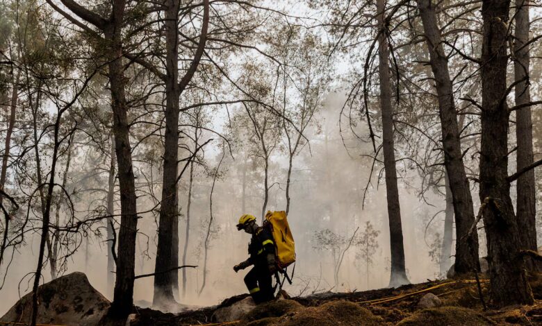 Bomberos trabajan para extinguir un incendio en el bosque de Fontainebleau, en Noisy-sur-Ecole (Francia)