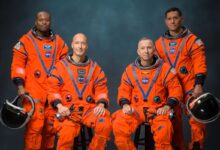 La tripulación del Artemis III posa para un retrato oficial (de izquierda a derecha: Andre Douglas, Luca Parmitano, Randy Bresnik, Frank Rubio)
