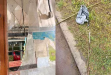 El comercio perteneciente a la concejal de San José de Metán, Romina Barboza, volvió a ser blanco de un robo durante la madrugada de este jueves.