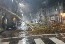 Así quedó el centro de Campana tras el temporal