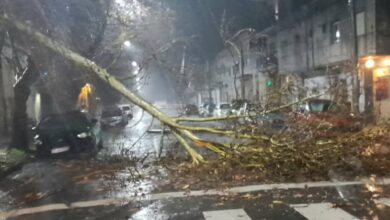 Así quedó el centro de Campana tras el temporal