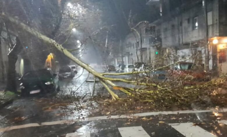 Así quedó el centro de Campana tras el temporal