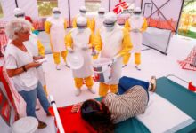 La OMS afirmó que el brote de ébola en África está superando la capacidad de respuesta para combatirlo
