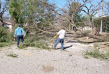 Temporal de viento zonda en San Lorenzo