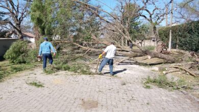 Temporal de viento zonda en San Lorenzo