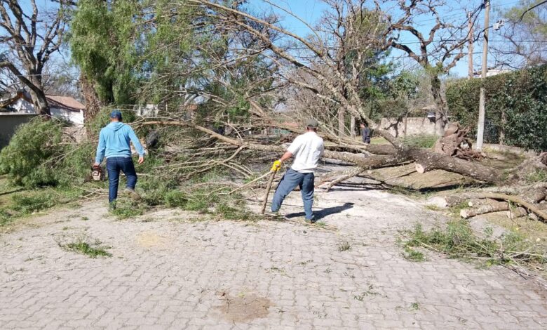 Temporal de viento zonda en San Lorenzo