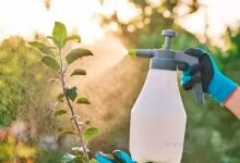 AMMAT prohibió la venta de un insecticida detectado en Salvador Mazza