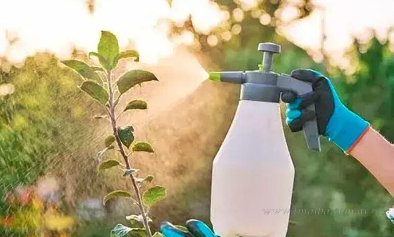AMMAT prohibió la venta de un insecticida detectado en Salvador Mazza
