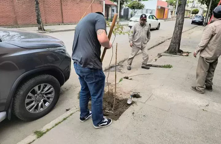 Daño un árbol y ahora deberá ayudar a forestar distintos puntos de Orán