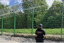 Para frenar la inmigración irregular, Finlandia construyó una valla de 200 kilómetros en la frontera con Rusia